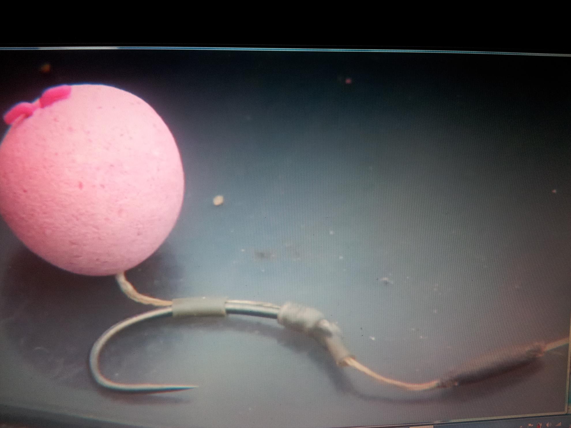 Monturi - 20130123211412.jpg